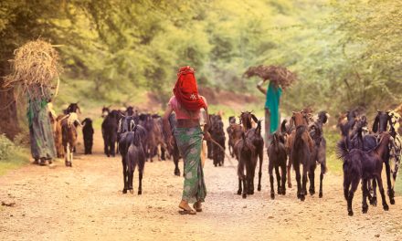 África, un continente dejado a la deriva | ✎ José Ignacio Fernández del Castro