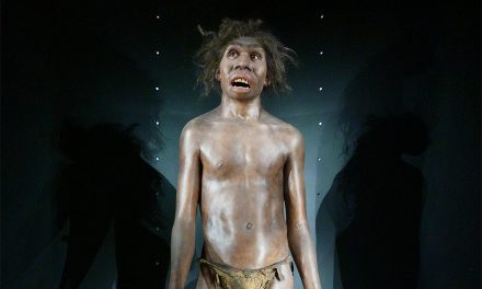 Sobre el origen del lenguaje humano y de las lenguas | ✎ José Manuel Torre Arca