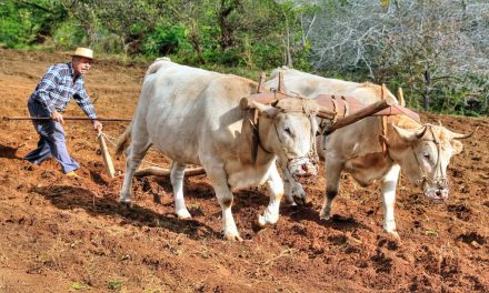 Proyectar con los riesgos y la infraestructura verde | ✎ David Barreto Expósito, Fernando Sabaté Bel, Tatiana Snigur Byelorussov, Joaquín Sabaté Bel y Agostina Rodríguez Fey